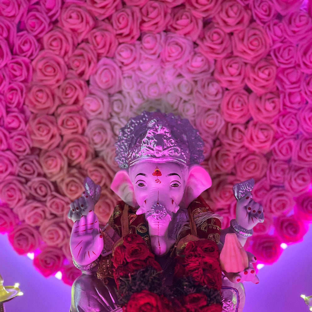 PREORDER : Foam Roses (Set of 50) - Multiple Colors